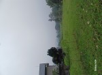 20250522_101521