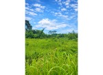 New Project(3)