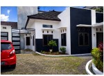 New Project(4)